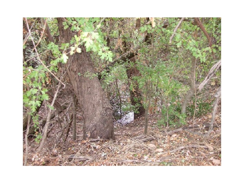 Lot 2, 36 Isaacs Avenue, Yackandandah VIC 3749