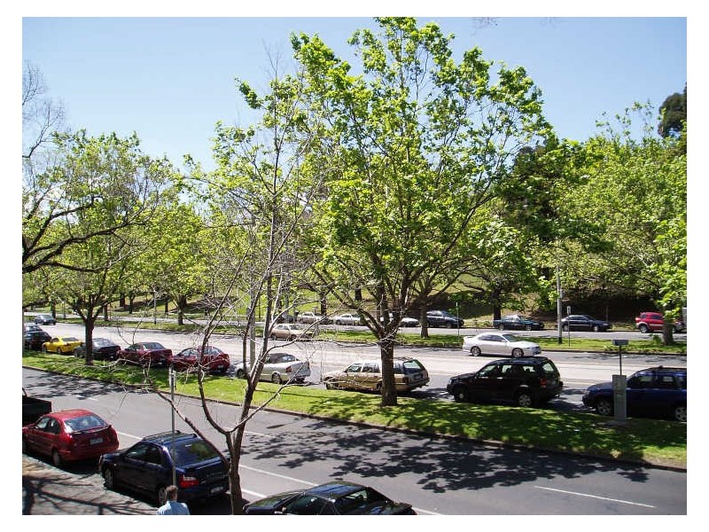 104/320 St Kilda Road, Melbourne VIC 3000