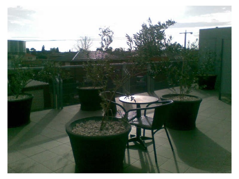 324/51 Gordon Street, Footscray VIC 3011