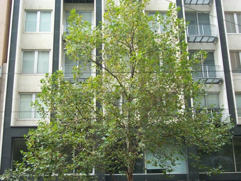 808/325 Collins St, Melbourne VIC 3000