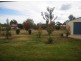 Wangaratta VIC 3677