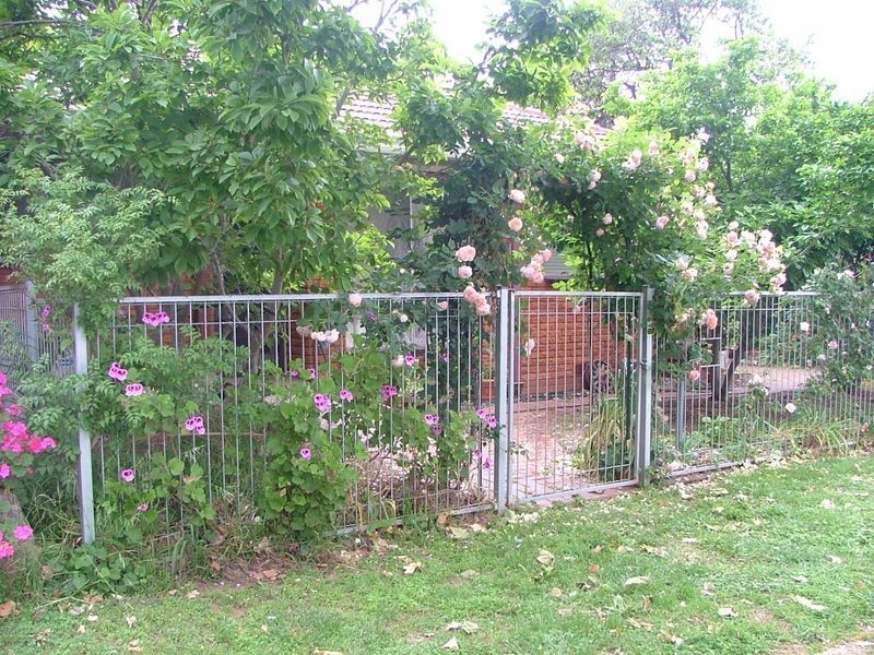 Wangaratta VIC 3677