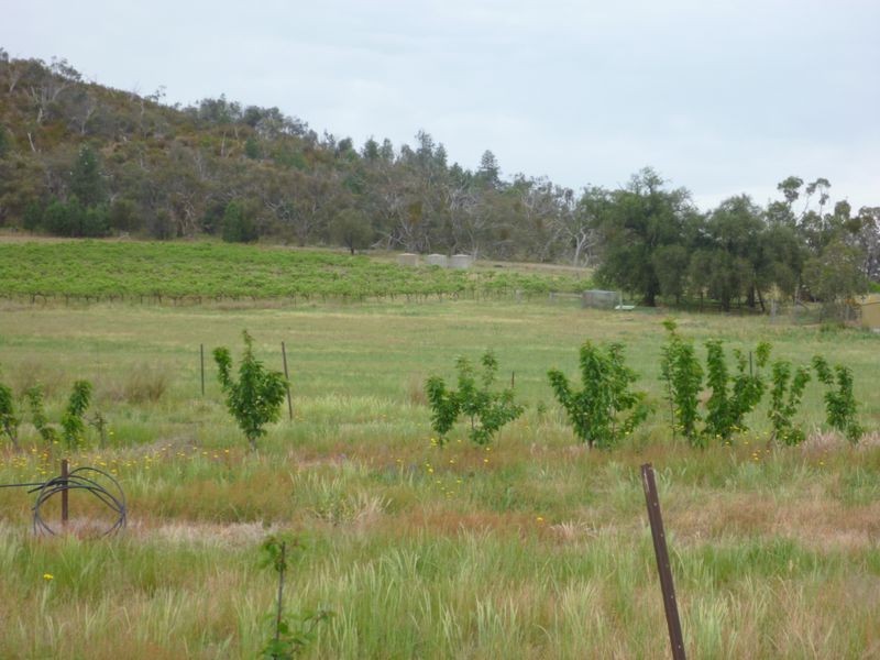 Mount Bruno VIC 3675