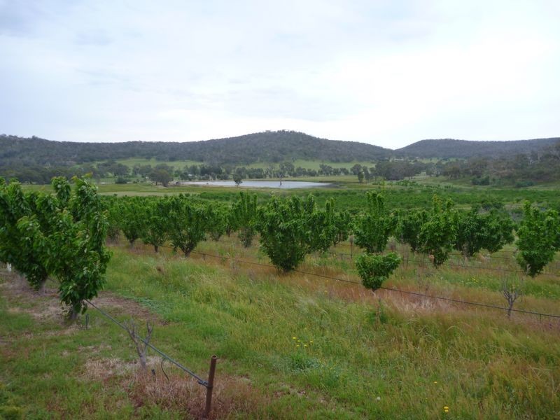 Mount Bruno VIC 3675