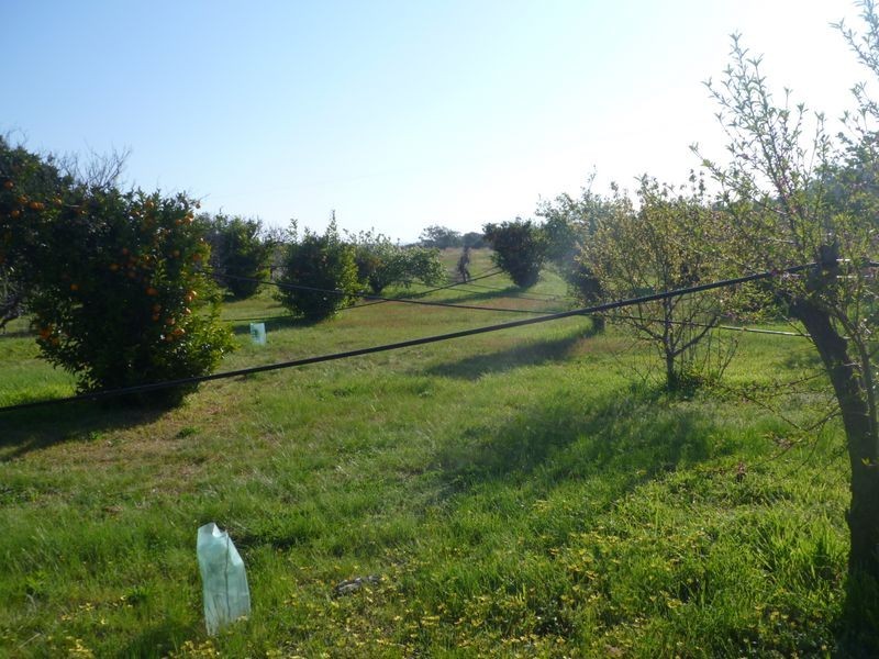 Mount Bruno VIC 3675