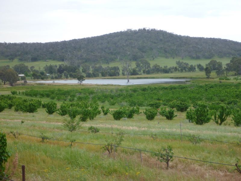 Mount Bruno VIC 3675