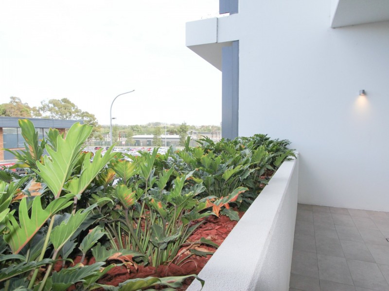 Suite 2.08/8 Dumaresq Street, Campbelltown NSW 2560