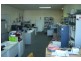 Smeaton Grange NSW 2567