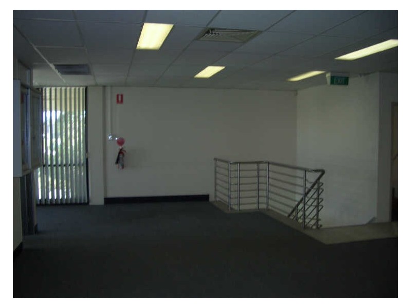 19 Saggartfield Road, Minto NSW 2566