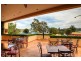 54 Queen Street, Campbelltown NSW 2560