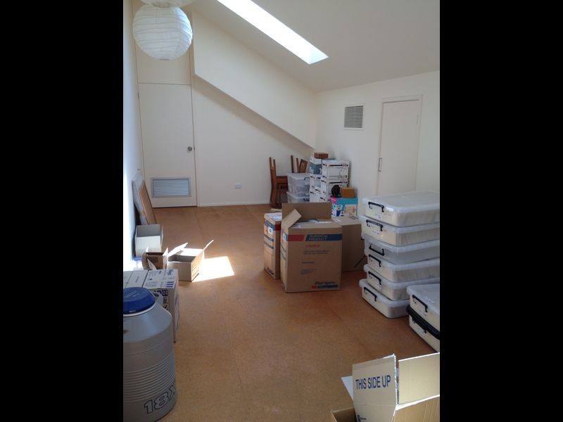 16 King Street, Campbelltown NSW 2560