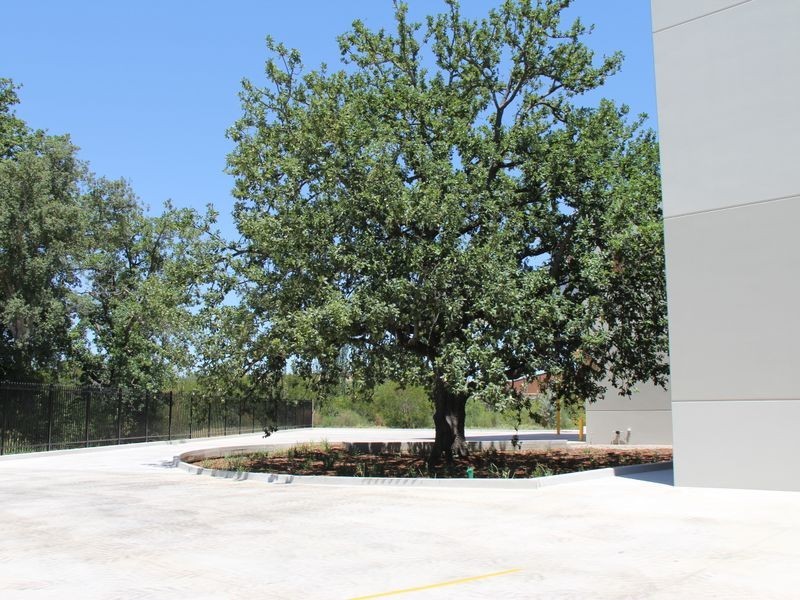 Unit 2/4 Nursery Place, Campbelltown NSW 2560