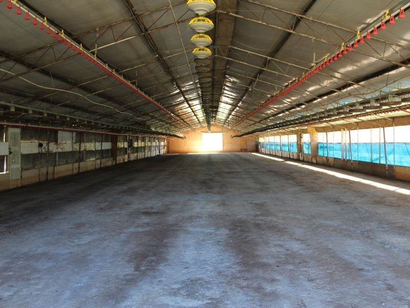 4/46 Woolgen Park Road, Leppington NSW 2179