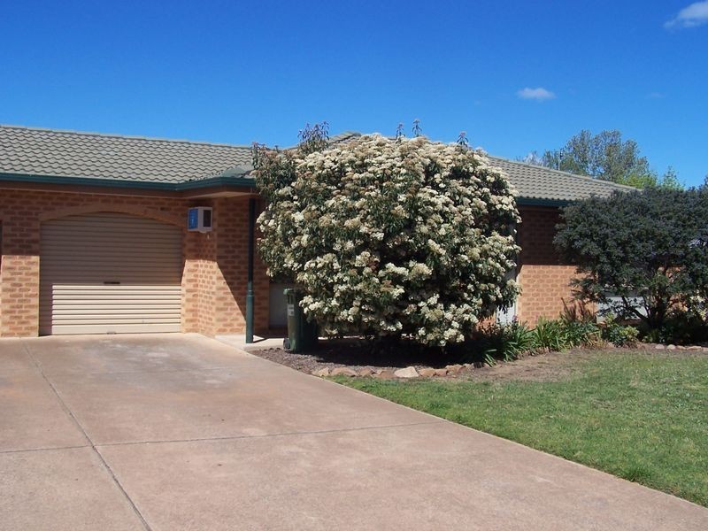 19/160 Forsyth Street, Wagga Wagga NSW 2650