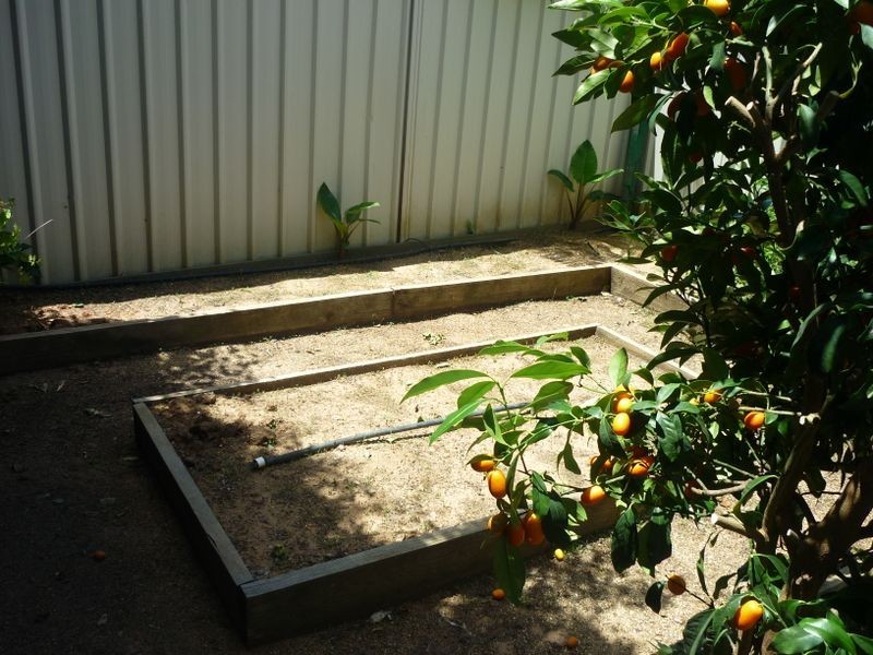 4 Yeomans Place, Kooringal NSW 2650