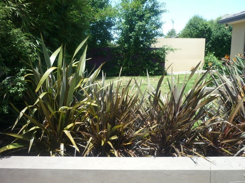 4 Yeomans Place, Kooringal NSW 2650