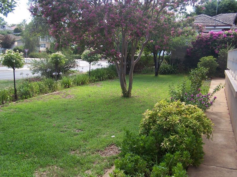 44 Urana Street, Wagga Wagga NSW 2650