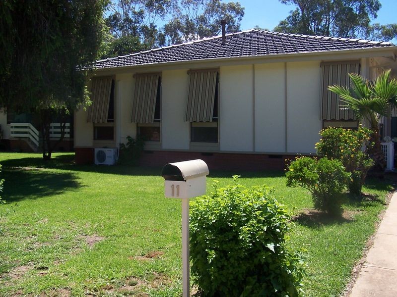 11 Adams Street, Ashmont NSW 2650