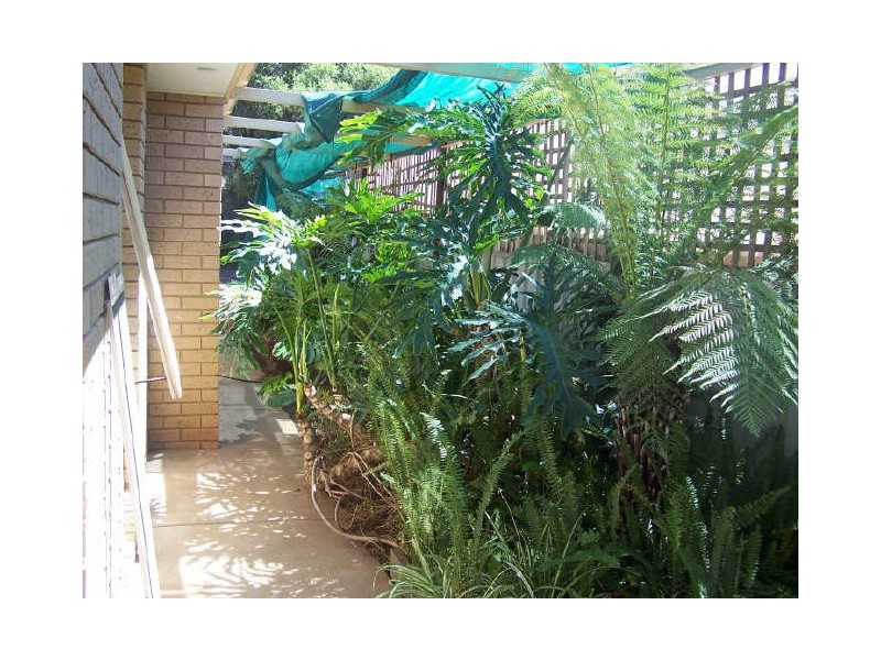 4 Cypress Street, Forest Hill NSW 2651