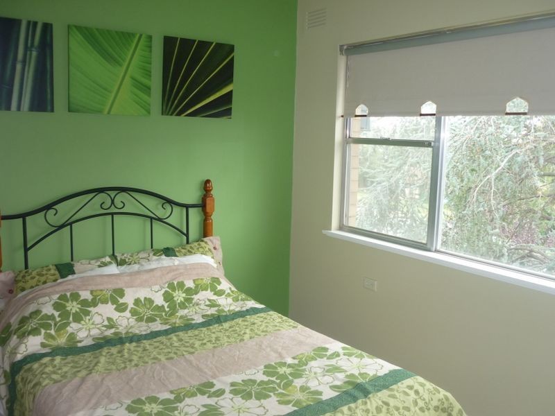 8 Endeavour Street, Kooringal NSW 2650