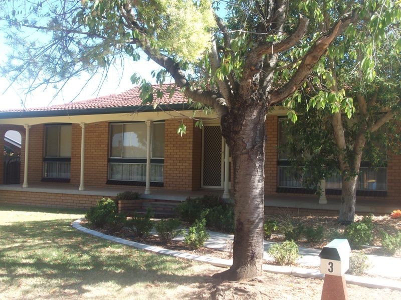 3 Fraser Street, Mount Austin NSW 2650