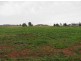 Lot 17 Stinson Street, Coolamon NSW 2701