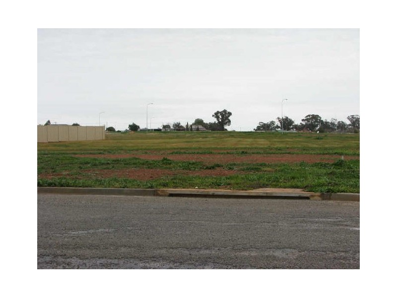 Lot 13 Banksia Street, Coolamon NSW 2701
