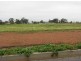 Lot 21 Lewis Street, Coolamon NSW 2701