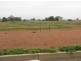 Lot 23 Lewis Street, Coolamon NSW 2701