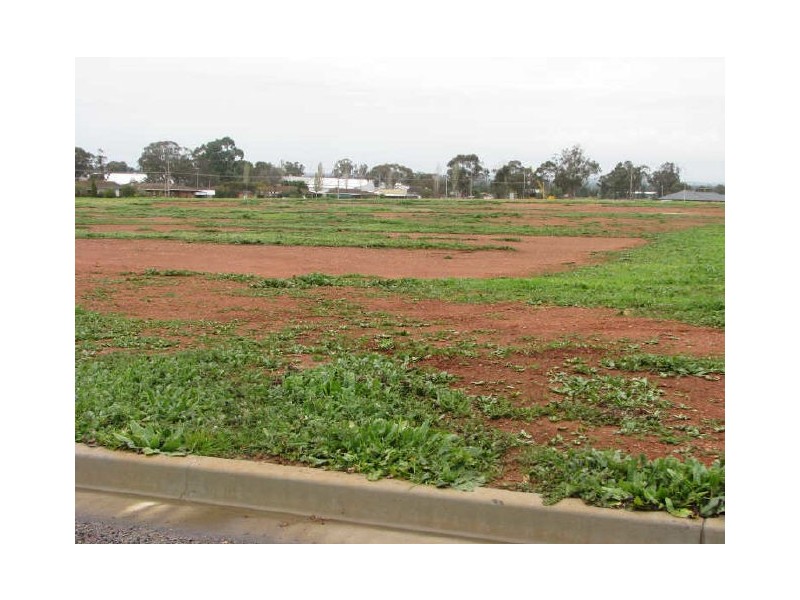 Lot 24 Lewis Street, Coolamon NSW 2701