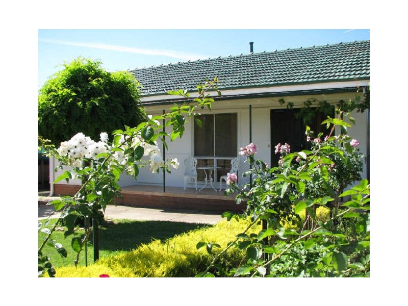 17 Ceduna Street, Mount Austin NSW 2650