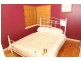 120 Ashmont Avenue, Ashmont NSW 2650