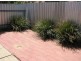 3/93 Trail Street, Wagga Wagga NSW 2650