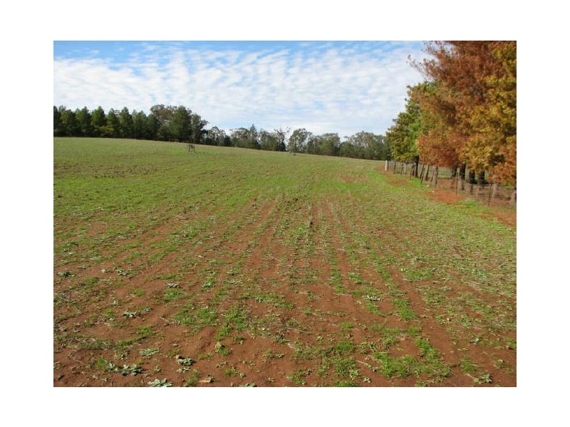 85 Rannock Road, Coolamon NSW 2701