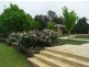 6 Featherwood Drive, Wagga Wagga NSW 2650