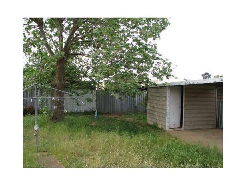 17 Buna Street, Ashmont NSW 2650