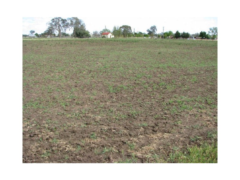 174 Gumly Road, Gumly Gumly NSW 2652