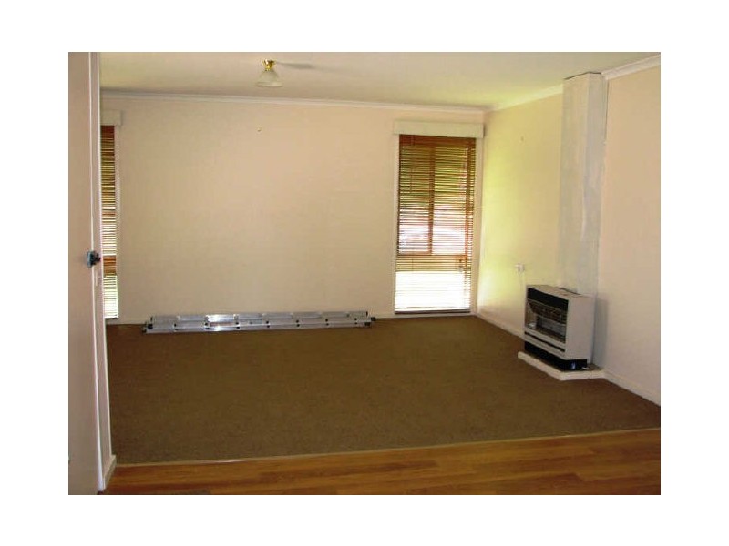 11 Adams Street, Ashmont NSW 2650