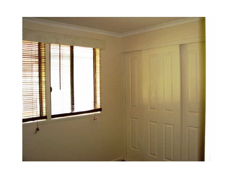 11 Adams Street, Ashmont NSW 2650