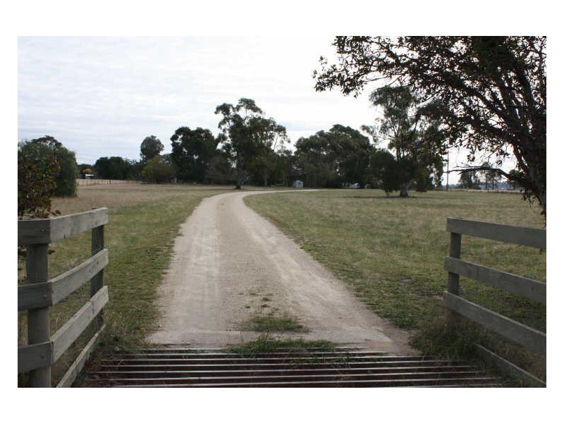 52 Mitchell Road, Lake Albert NSW 2650