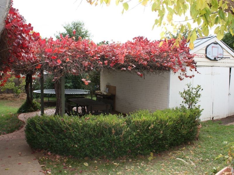 64 Macleay Street, Turvey Park NSW 2650