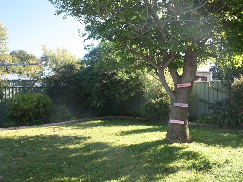 19 Eldershaw Drive, Forest Hill NSW 2651