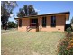 43 Adams Street, Ashmont NSW 2650