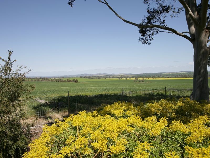 661 Coursing Park Road (DOWNSIDE), Wagga Wagga NSW 2650