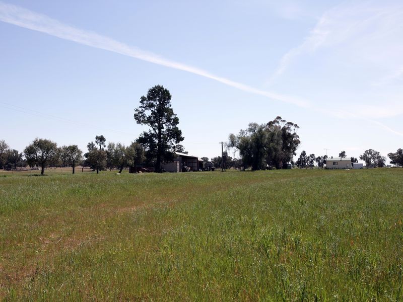 85 River Street, Alfredtown NSW 2650