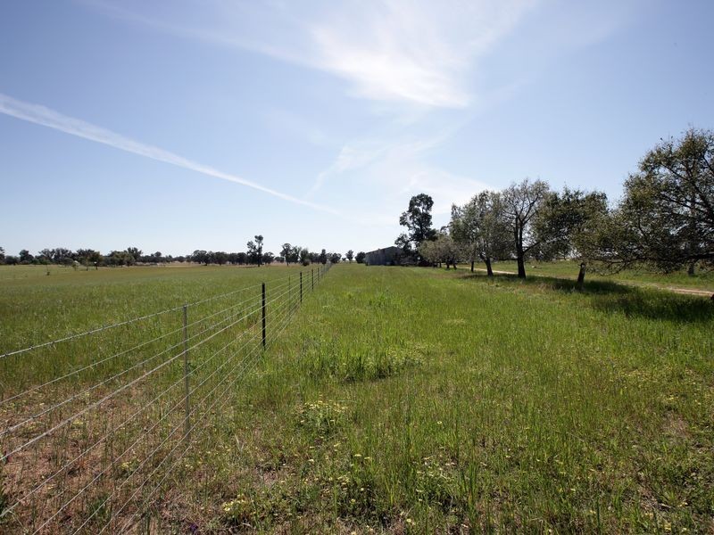 85 River Street, Alfredtown NSW 2650