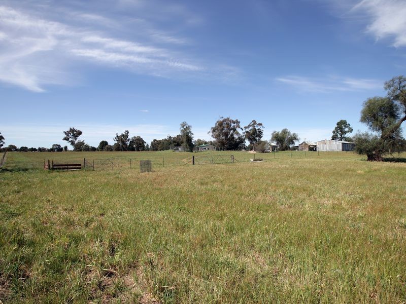 85 River Street, Alfredtown NSW 2650