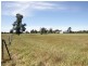 85 River Street, Alfredtown NSW 2650