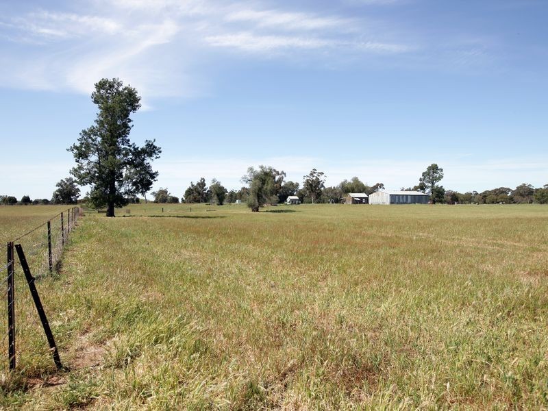 85 River Street, Alfredtown NSW 2650