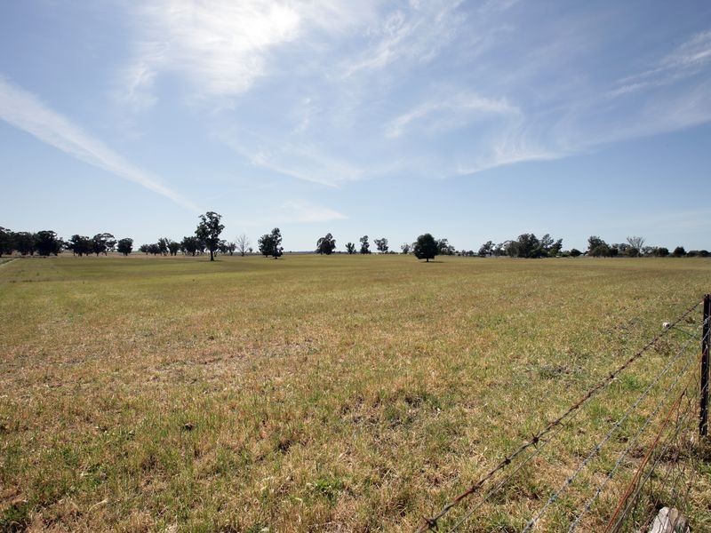 85 River Street, Alfredtown NSW 2650